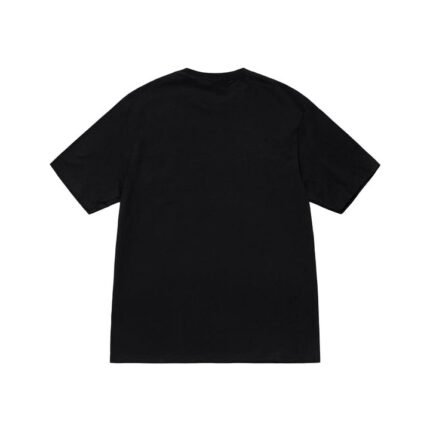 Stussy WIDOW TEE